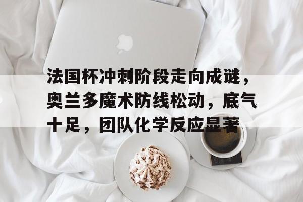 关于法国杯冲刺阶段走向成谜，奥兰多魔术防线松动，底气十足，团队化学反应显著的信息